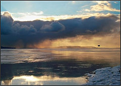 photo "Running away from storm...."