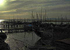 photo "The day to fall  ....."