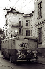 photo "the-old-horse"