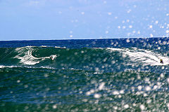 фото "Getting Wet - TowIn Surfing Coogee"
