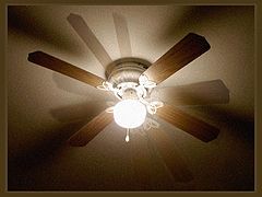 photo "Fan"