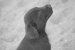 photo "alone...."