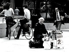 фото "Toronto Street Scene"