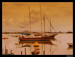 photo "just another day in paradise II"