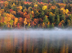 фото "Killarney Park"