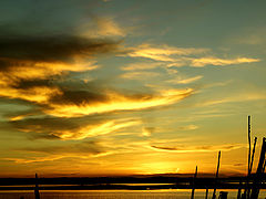 photo "***"