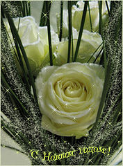 photo "A Happy New Year!"