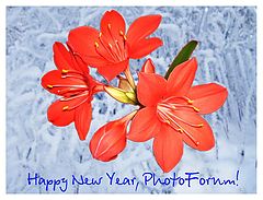 photo "Happy New Year, PhotoForum!"