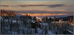 photo "Happy New Year!!!"
