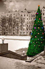 photo "happy new year!"