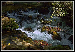photo "***"