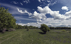 photo "***"