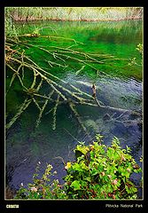 photo "Plitvicka National Park"