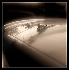 photo "JUGYYYY"