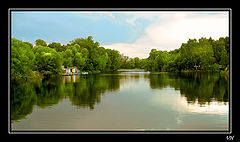 photo "Mirror of nature"