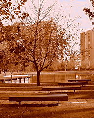 фото "Automn in the Park"