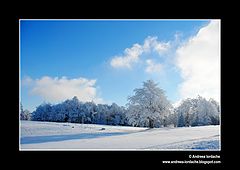 фото "Winter silence"