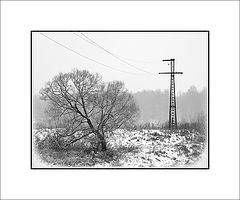 photo "***"
