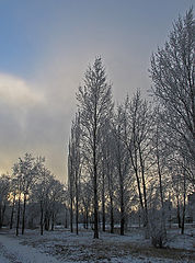 фото "Утро"