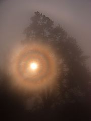 photo "***"