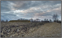 photo "Across the field"
