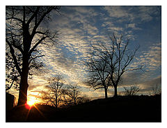 photo "***"
