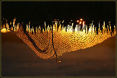 photo "Sunny net"