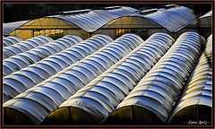 photo "rythmic roofs"