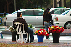 photo "About men..."