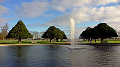 фото "The Pond"