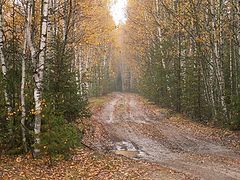 photo "Autumn path"