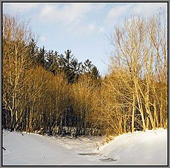 photo "***"