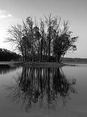 photo "***"