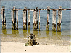photo "***"