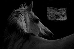 photo "***"