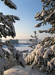 photo "Happy New Year!!!"