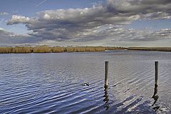 photo "Expanse"