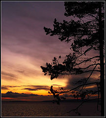 photo "Night coming...."