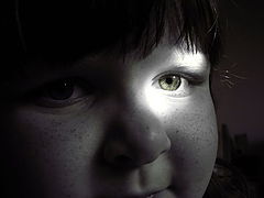фото "A special Friend"