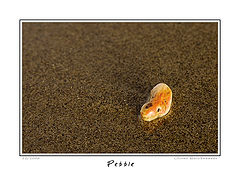 photo "Pebble"