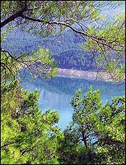 фото "The lake."