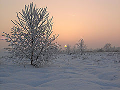 photo "***"
