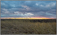 photo "Scene of conflagration"