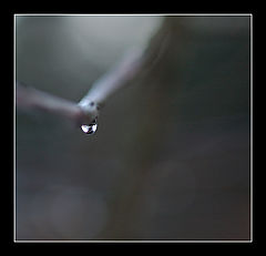 photo "Dreams,,,"