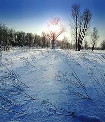 фото "Зимнее солнце"