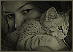 photo "***"