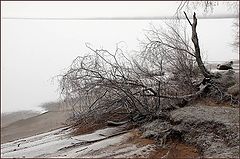 photo "Peno Lake in warm January"