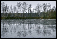 фото "Сиротская зима 2007"