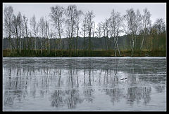 photo "Winter mirror 2007"