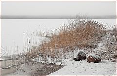 photo "Peno Lake in warm January (2)"